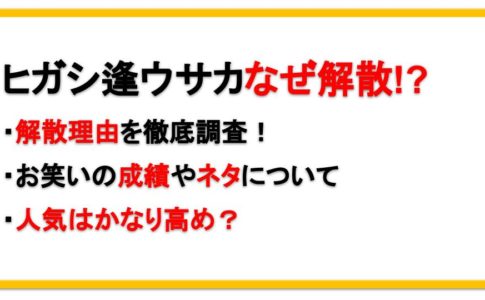 夏菜の結婚相手は誰でどんな人 妊娠してる 歴代彼氏についても えびゴンぶろぐ